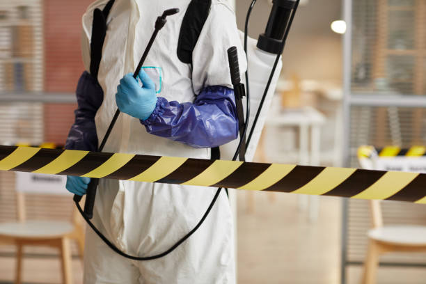 Professional Sewage Cleanup technician working in Yalaha, FL